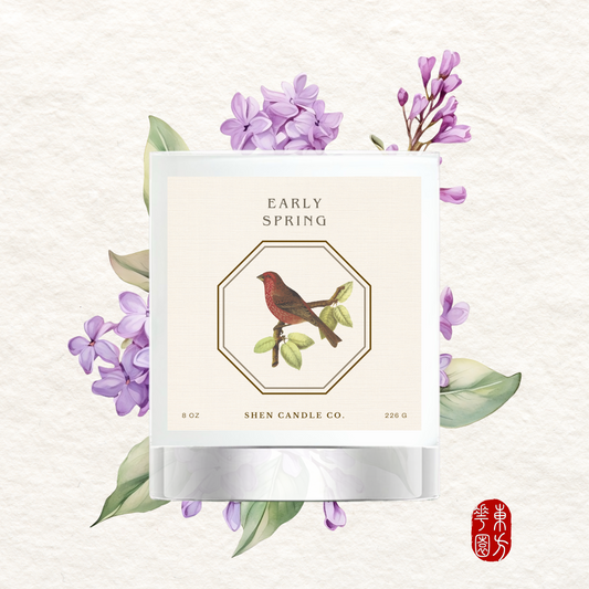 Early Spring Candle (早春)