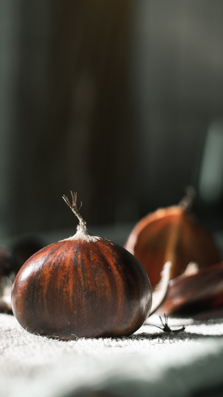 Roasted Chestnuts Candle (糖炒栗)